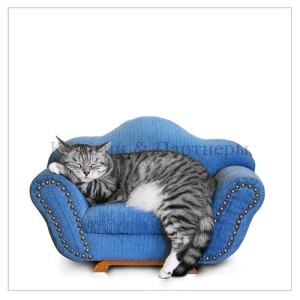 Как защитить мягкую мебель от кошачьих когтей